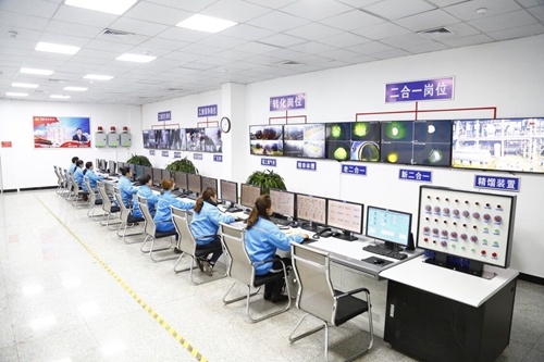 熱火朝天！集團(tuán)總部140余人到股份公司氯堿分廠開展勞動(圖4)