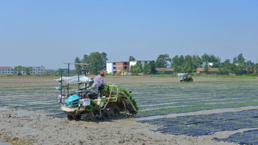 宜化全生物降解材料在河南推廣運用(圖4) 圖片