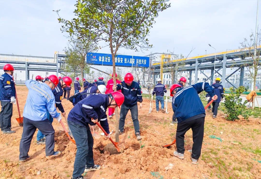 “植”此青綠共“樹”未來！集團(tuán)各公司開展植樹活動(圖8)