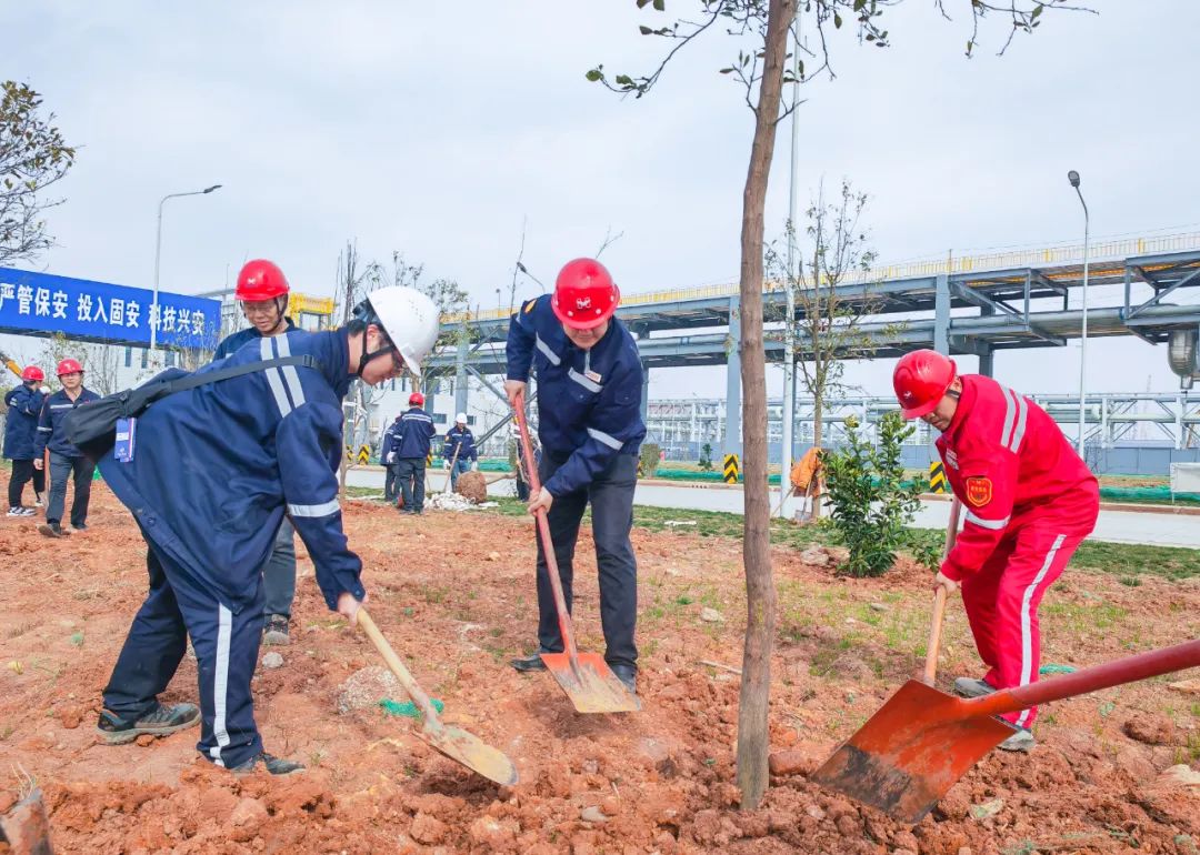 “植”此青綠共“樹”未來！集團(tuán)各公司開展植樹活動(圖10)