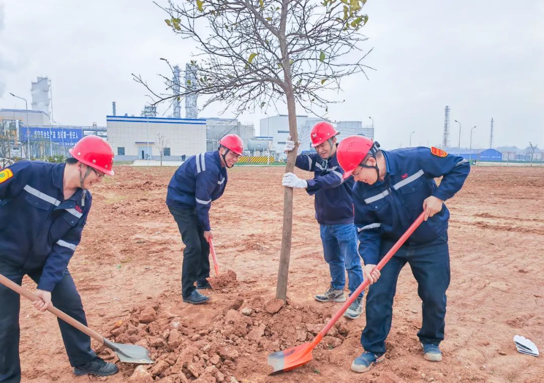 “植”此青綠共“樹”未來！集團(tuán)各公司開展植樹活動(圖9)