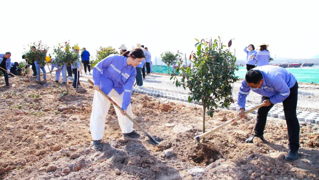 “植”此青綠共“樹”未來！集團(tuán)各公司開展植樹活動(圖16)