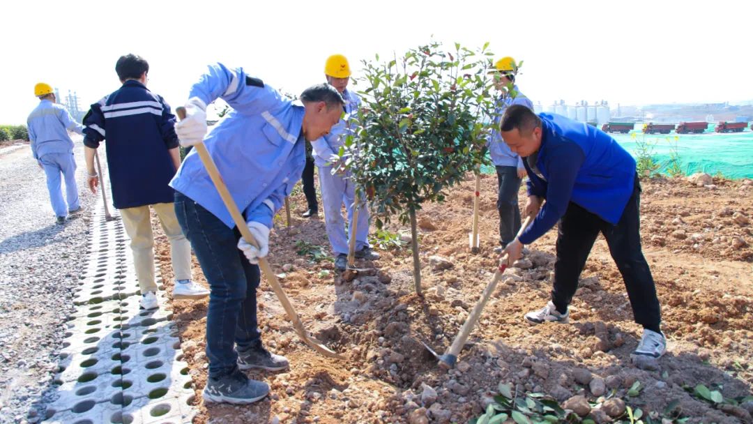“植”此青綠共“樹”未來！集團(tuán)各公司開展植樹活動(圖14)