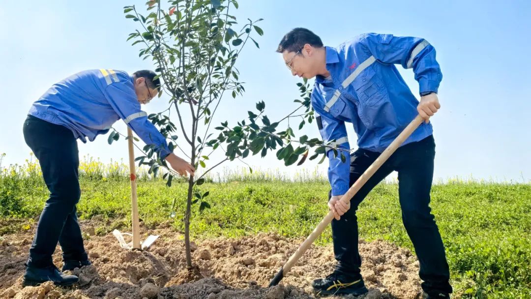“植”此青綠共“樹”未來！集團(tuán)各公司開展植樹活動(圖15)