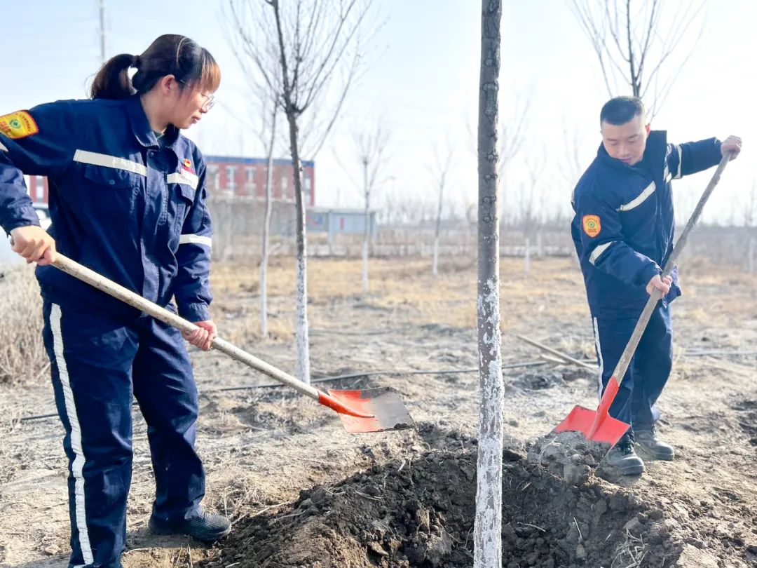 “植”此青綠共“樹”未來！集團(tuán)各公司開展植樹活動(圖21)