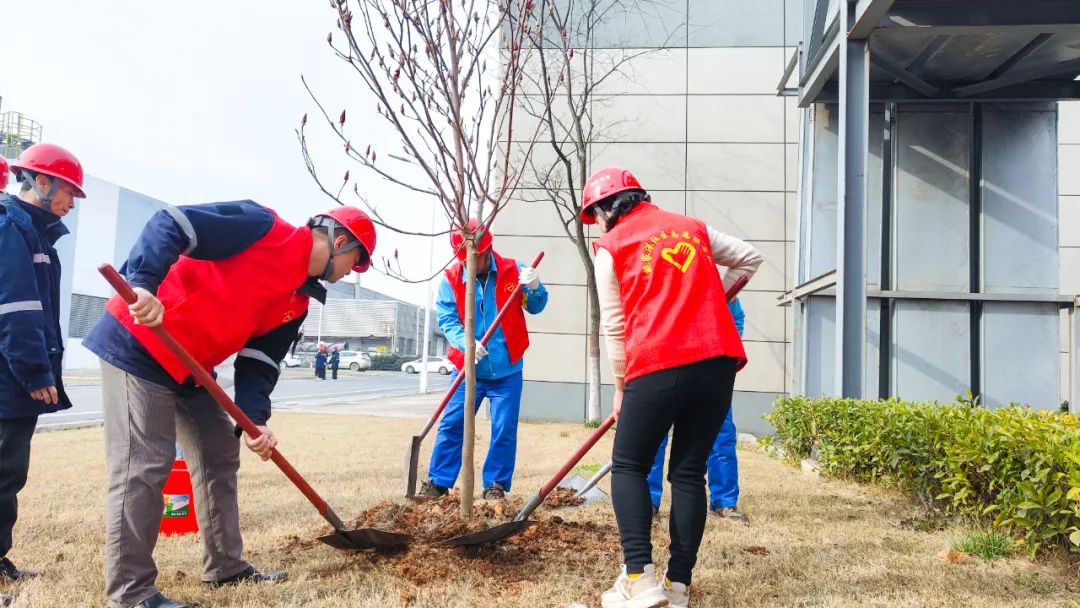 “植”此青綠共“樹”未來！集團(tuán)各公司開展植樹活動(圖24)