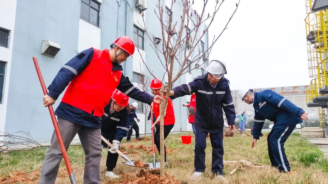 “植”此青綠共“樹”未來！集團(tuán)各公司開展植樹活動(圖26)