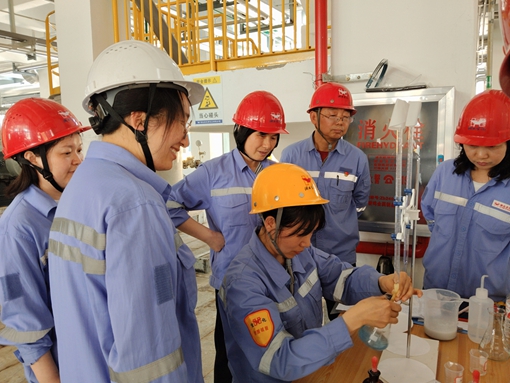 亮身份 亮承諾 亮業績——宜化黨員一線攻堅助推項目“拔節生長”(圖1)