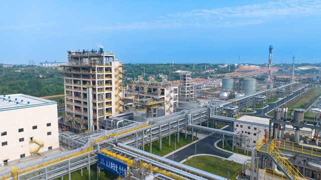 集團兩家單位入選2024年度石化行業重點產品能效“領跑者”名單(圖1)