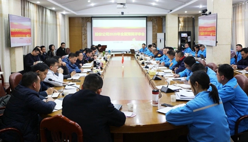 王大真調研指導股份公司、化機公司和TMP新項目2020年財務預算工作