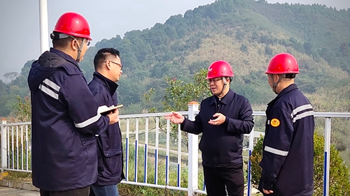 王大真到松滋肥業(yè)、楚星公司、新材料公司和股份公司現(xiàn)場(chǎng)調(diào)研