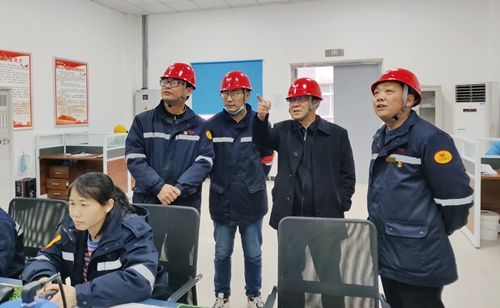 王大真到松滋肥業、楚星公司現場檢查指導工作