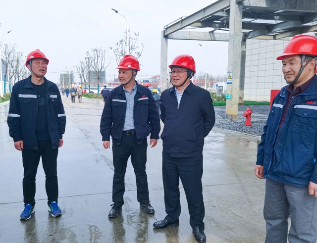 王大真到雙環公司、降解新材料公司和氨醇項目現場調研